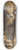 John Singer Sargent - The Rialto 8.25 inch art skate deck