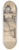 John Vanderlyn - A Muse 8.25 inch art skate deck