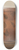 American 20th Century - Water Pitcher 8.25 inch art skate deck