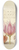 Joris Hoefnagel - Caterpillar, Pear, Tulip, and Purple Snail 8.25 inch art skate deck