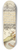 Joris Hoefnagel - Scorpionfly, Insect, Lizard, and Insect Larva 8.25 inch art skate deck