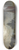 Joseph Andreas Weiss - Saint Petersburg in Moonlight 8.25 inch art skate deck