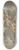 Joseph Barber - Autumn Trees by a Lake 8.25 inch art skate deck