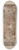 Joseph Lubrano - Historical Printed Textile 8.25 inch art skate deck