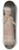 Joshua Johnson - Emma Van Name 8.25 inch art skate deck