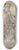 Jost Amman - An Officer of the Rank of Oberster Feldprofoss in the Imperial Army 8.25 inch art skate deck