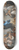 Juan Francisco de Aguilera - The Inmaculate Conception with Jesuits 8.25 inch art skate deck