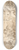 Jules-Edmond-Charles Lachaise - Design of putti at play 8.25 inch art skate deck