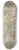 Julius Caesar Ibbetson - Salmon Spearing 8.25 inch art skate deck