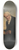 Julius Schrader - Baron Alexander von Humboldt (17691859) 8.25 inch art skate deck