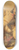 Kaspar Lessing - Saint George fighting the dragon 8.25 inch art skate deck