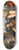 Kenyon Cox - After Boltraffio, Sacra Conversazione 8.25 inch art skate deck