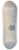 Klemens Brosch - Fnf Bltter fallend, Dekorative Fllung 8.25 inch art skate deck