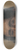 Ladislav Mednynszky - Fragment of a Head Study of a Gypsy 8.25 inch art skate deck
