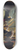 Lawrence Alma-Tadema - Proclaiming Claudius Emperor, Opus XlVIII 8.25 inch art skate deck