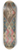 Angelo Bulone - Textile (State Emblems) 8.25 inch art skate deck