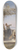 Leontine von Littrow - Wschermdel am Brunnen 8.25 inch art skate deck