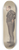 Leslie Matthew Ward - Legal; Patents, Mr. John Fletcher Moulton, October 4, 1900 8.25 inch art skate deck