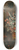 Lombard School - Still life with flowers, fruit and birds amongst ruins 8.25 inch art skate deck