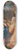 Lorenzo Sabatini - The Adoration Of The Magi 8.25 inch art skate deck