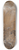 Ludovico Carracci - The Conversion of Saint Paul 8.25 inch art skate deck