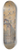 Ludwig Hans Fischer - Der Dreifaltigkeitshof in Wien 8.25 inch art skate deck