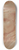 Annibale Carracci - Portrait of an Ecclesiastic Wearing a Biretta 8.25 inch art skate deck