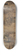 Marius Bauer - Slavenhandelaar 8.25 inch art skate deck