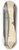 Mark Catesby - The Barracuda (Esox barracuda) 8.25 inch art skate deck