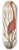 Mark Catesby - The Flamingo (Phoenicopterus ruber) 8.25 inch art skate deck