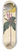 Mark Catesby - The Yellow-breasted Chat 8.25 inch art skate deck