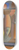 Mark Gertler - Study for Fish in Glass Case 8.25 inch art skate deck