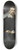 Anthony van Dyck - Frans Snyders 8.25 inch art skate deck