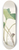 Mary Vaux Walcott - Canada Wildginger. Asarum canadense 8.25 inch art skate deck