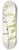 Mary Vaux Walcott - Clasping Twistedstalk. Streptopus amplexifolius 8.25 inch art skate deck