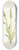 Mary Vaux Walcott - Hooded Ladies-tresses. Ibidium strictum 8.25 inch art skate deck