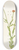 Mary Vaux Walcott - Orange Polygala. Polygala lutea 8.25 inch art skate deck