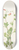 Mary Vaux Walcott - Pink Fumeroot. (Capnoides sempervirens) 8.25 inch art skate deck