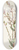 Mary Vaux Walcott - Tarflower. (Befaria racemosa) 8.25 inch art skate deck