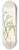 Mary Vaux Walcott - Virginia Springbeauty. Claytonia virginica 8.25 inch art skate deck