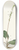 Mary Vaux Walcott - Western Rattlesnakeplantain. Peramium decipiens 8.25 inch art skate deck