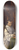 Master of 1499 - Robrecht de Clerq, Abbot at Ten Duinen 8.25 inch art skate deck