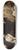 Master of the Annunciation to the Shepherds - Christ Disputing with the Doctors 8.25 inch art skate deck