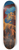 Maxfield Parrish - Jason and His Teacher 8.25 inch art skate deck
