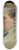 Max Klinger - Weiblicher Studienkopf 8.25 inch art skate deck