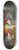 mile-Antoine Bayard - Coquelin In Les Prcieuses Ridicules 8.25 inch art skate deck