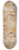 Moritz von Schwind - Der Sngerkrieg auf der Wartburg 8.25 inch art skate deck