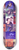 National Institutes of Health - Evolution; a journey into where were from and where were going 8.25 inch art skate deck
