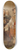 Nicaise De Keyser - Foundation of the Antwerp Academy by David Teniers II 8.25 inch art skate deck