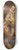 Nicaise De Keyser - The Painter Bartholomeus Spranger in Vienna 8.25 inch art skate deck